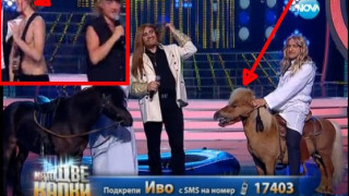 Като две капки вода: Мътно и кърваво на полуфинала! Буквално! (ВИДЕО)