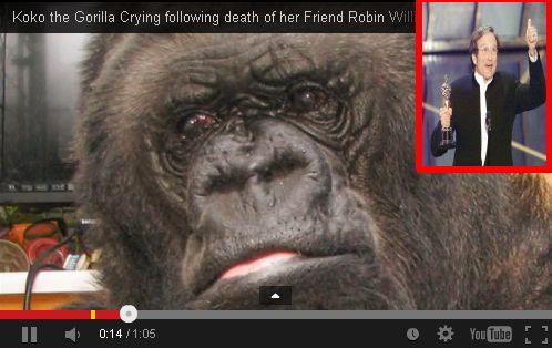 Смъртта на Робин Уилямс разплака горила! Само щерка му се сърди! ВИДЕО