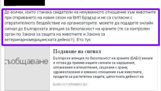 VIP Brother Bulgaria – позор: Няма да повярвате коя беше най-коментираната звезда!