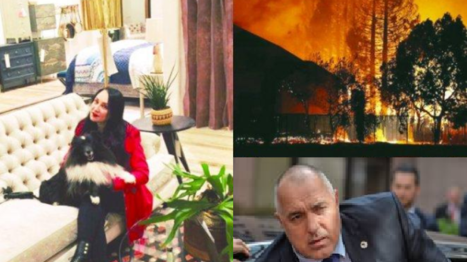 Ужас! Пожар покоси бившата на Бойко Борисов