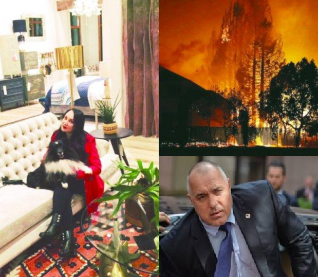 Ужас! Пожар покоси бившата на Бойко Борисов