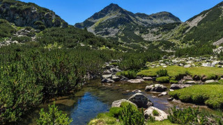 Sandov initiated a fight with regard to the lawsuit for Pirin