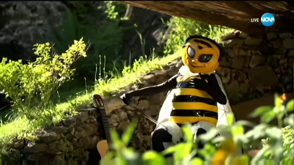 Пчелата в "Маскираният певец" - разкрита!