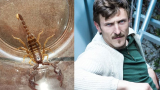Ужасяващо: Чаровникът Димо Алексиев се похвали със скорпион домашен любимец!