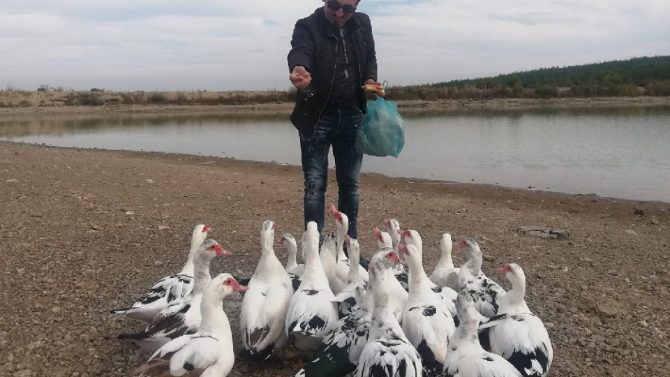 Пиленцата дойдоха при батко: Милко Калайджиев гледа патки в Свиленград!