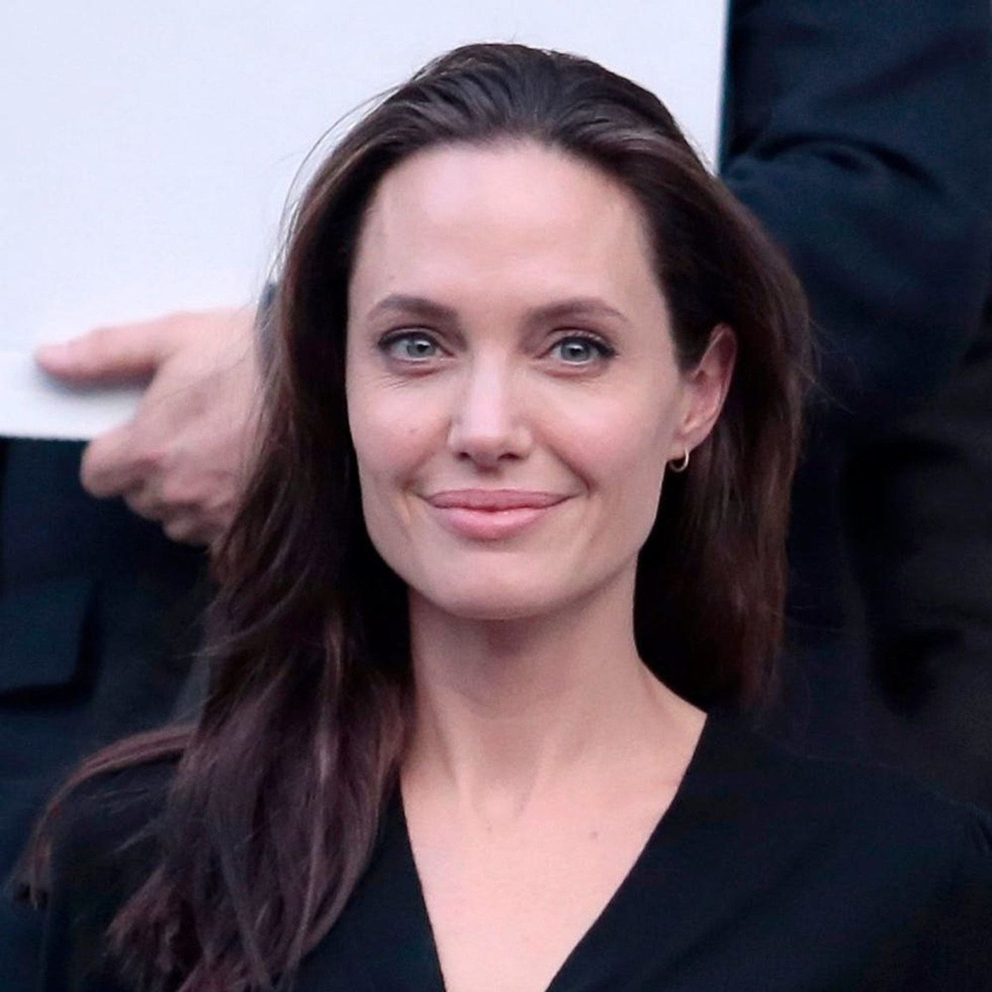 Анджелина Джоли разкритикува правителството си