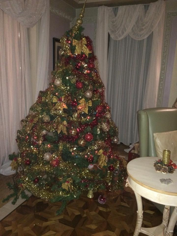 Прекрасната елха на семейство Сиракови ще заблести на Коледа