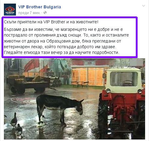 VIP Brother Bulgaria роди първи скандал