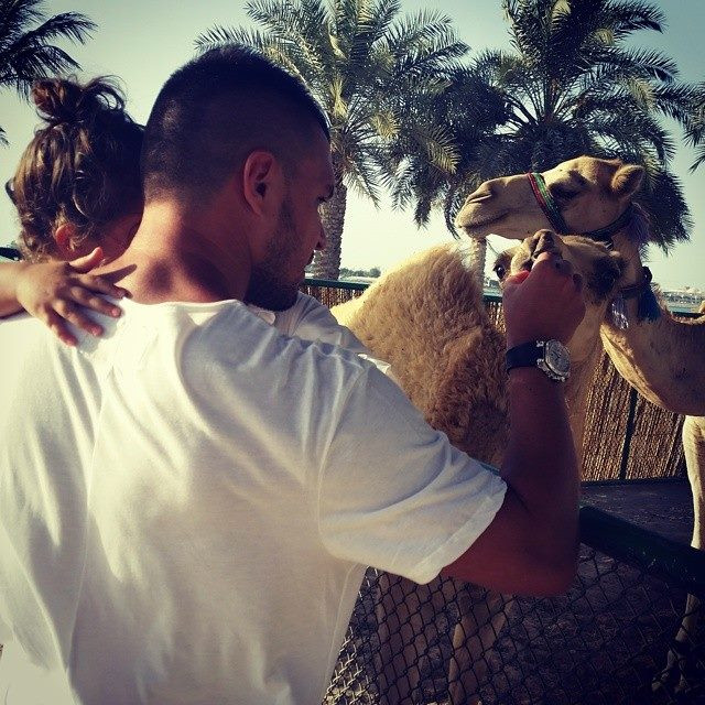 Запознанство с камилите