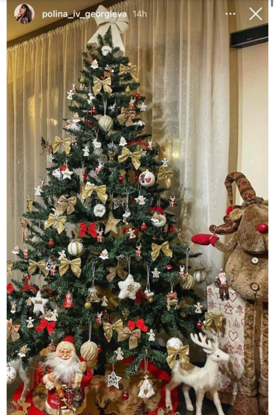 Булката на Благой Георгиев се хвали с първата им приказна Коледа! (СНИМКИ на Полина и украсения им дом)