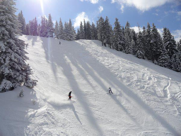Колко ще ви излезе ски ваканцията тази зима?