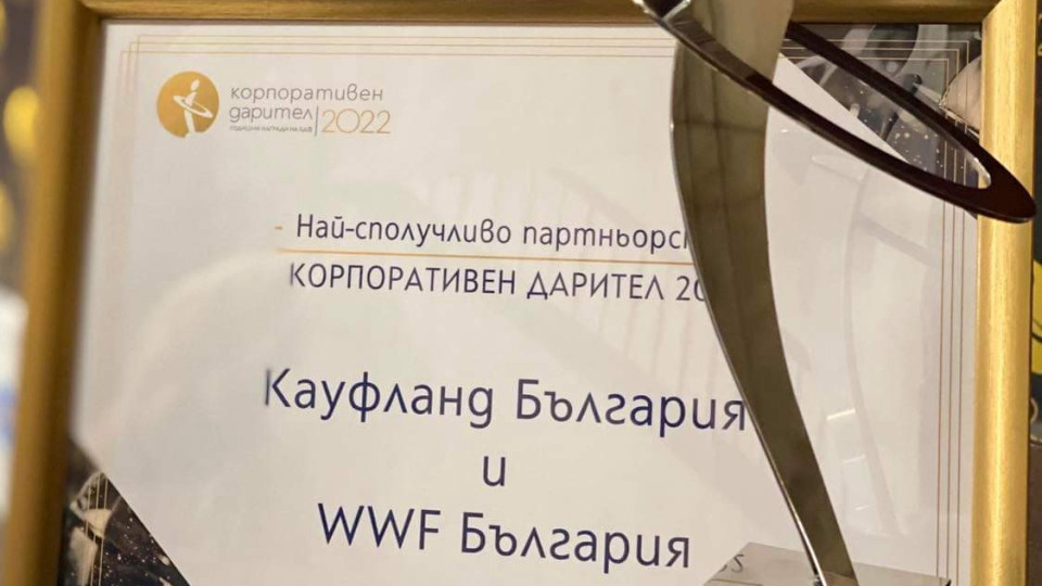Kaufland с отличие от наградите Корпоративен дарител 2022