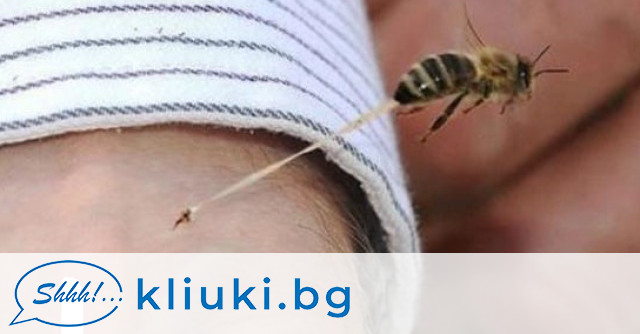 Ужилването от пчела оса или стършел обикновено не крие риск