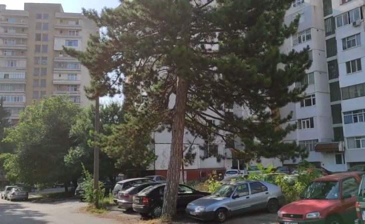 Превърнаха родната къща на Тодор Колев в паркинг (ФОТО)      