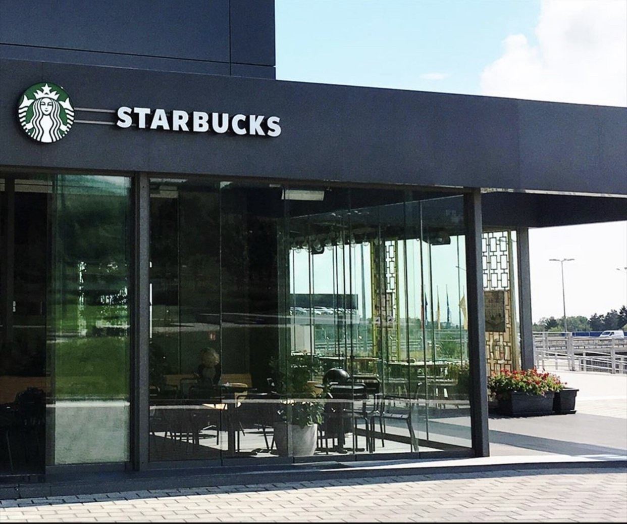 Отврат! Хлебарки лазят по витрината на Starbucks, пробутват гранясала сметана в кафето