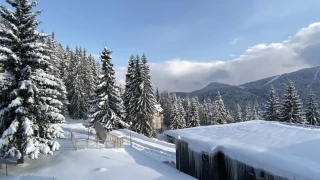 Кеф цена няма: Боровец удари Алпите в земята с цени