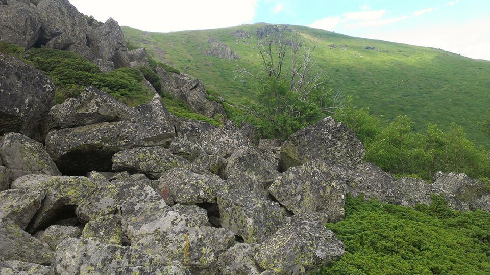 Тъжни песни пее балканът край Берковица