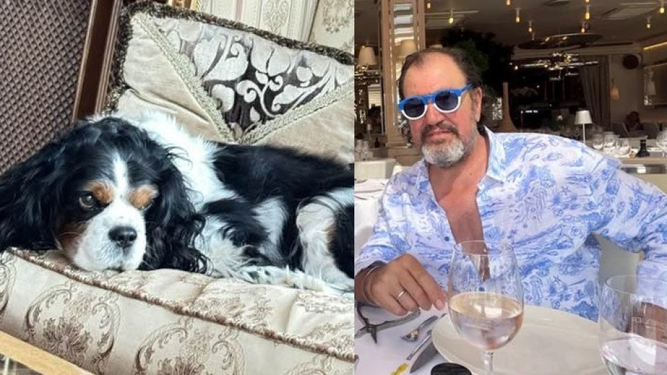 Дядо Гущеров празнува рожден ден на кучето, но не и на внучето