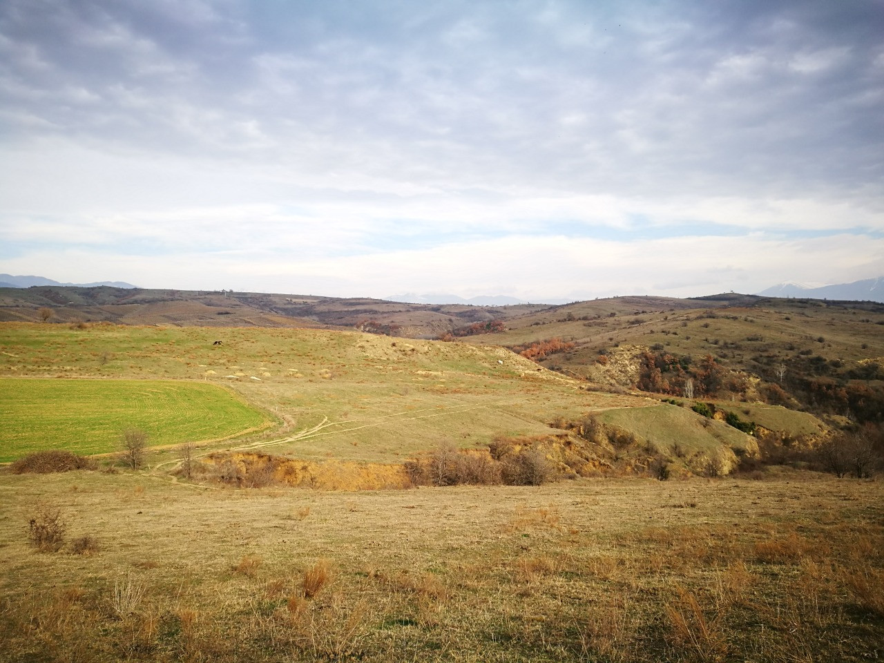 For Personal Gain, Toma Belev and Borislav Sandov Did Not Approve the Protected Area of Kamchiyski Piasatsi