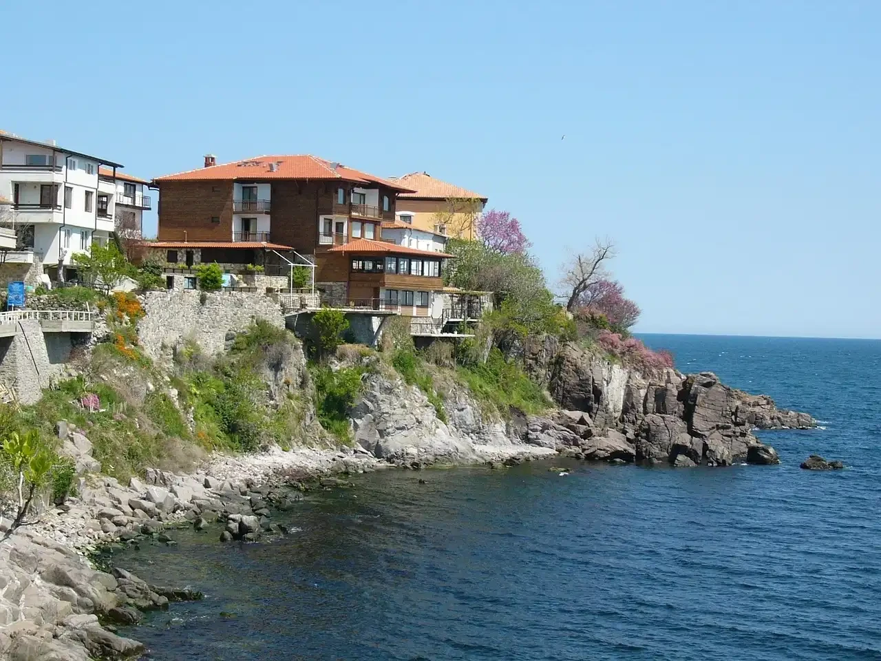 Министерша става водеща в Нова