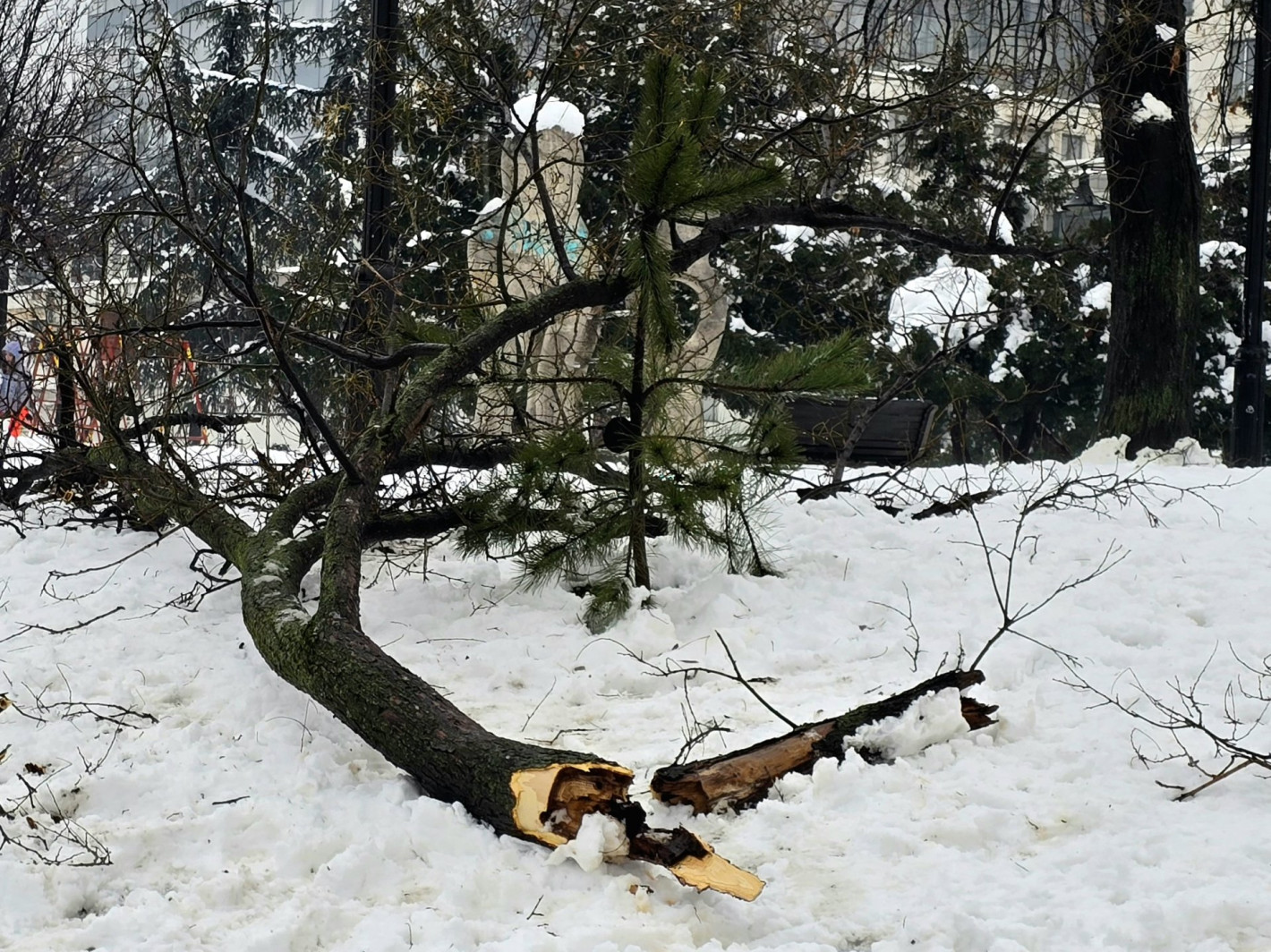 Хаос, леден дъжд, евакуация и хора без ток в Сърбия, има опасност река Лим да прелее (снимки)
