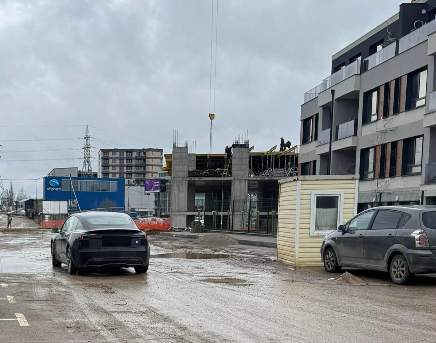 Ергенът Виктор прегази куче и избяга