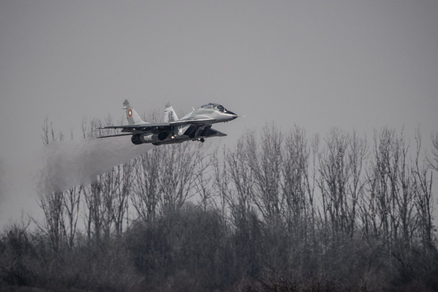 От F-16 до "Спартан": Вижте с какви самолети разполагат ВВС на България (галерия)
