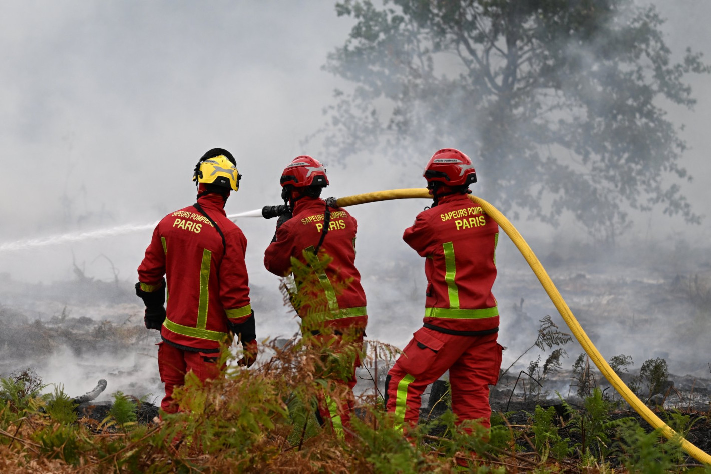 Огнена стихия унищожава прочутите лозя край Бордо, евакуирани са над 200 000 души (снимки)